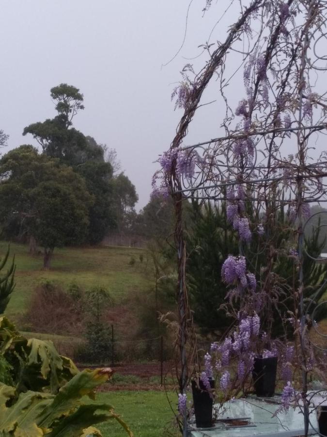 Green Acres B&B Beechmont Bagian luar foto