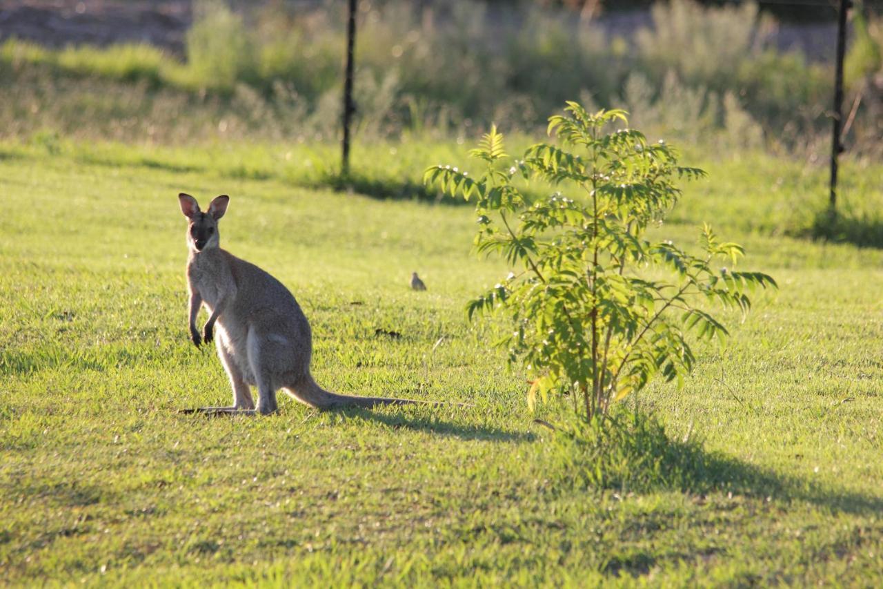 Green Acres B&B Beechmont Bagian luar foto